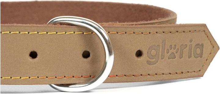 Immagine prodotto Gloria Collare per cani Oasis 50 cm Bianco (50 x 2,1 cm) (Cuoio)