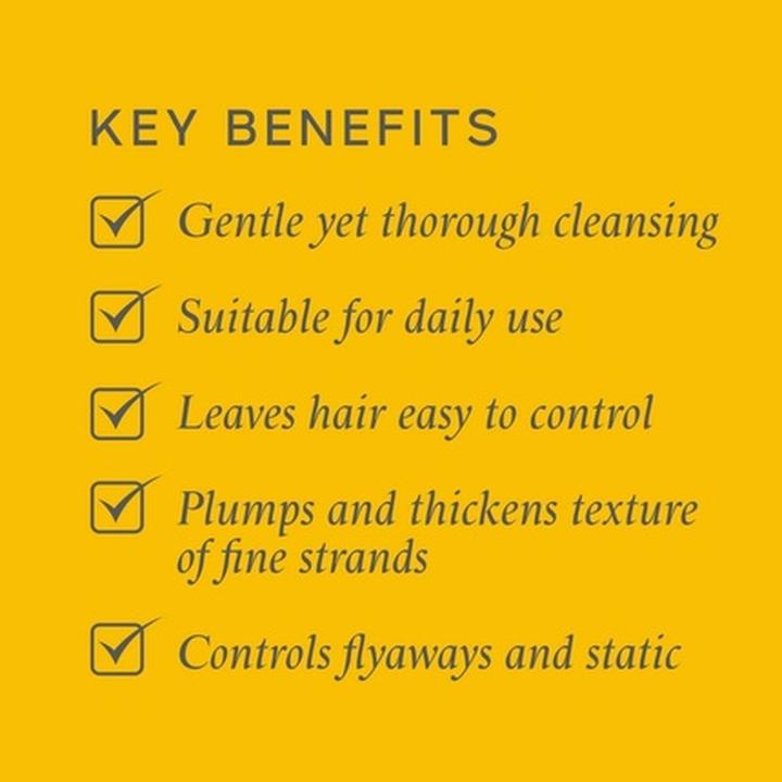 Image du produit Philip Kingsley PHI104 Shampooing pour cheveux 250 ml (250 ml, Shampoing liquide)