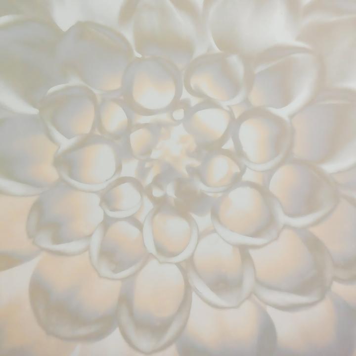 Produktbild MSV Shawna