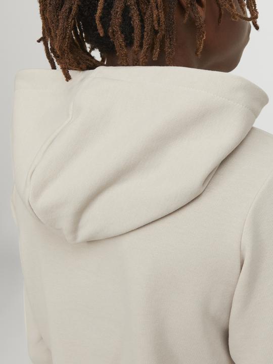 Image du produit Jack & Jones Sweat à capuche garçon (140)