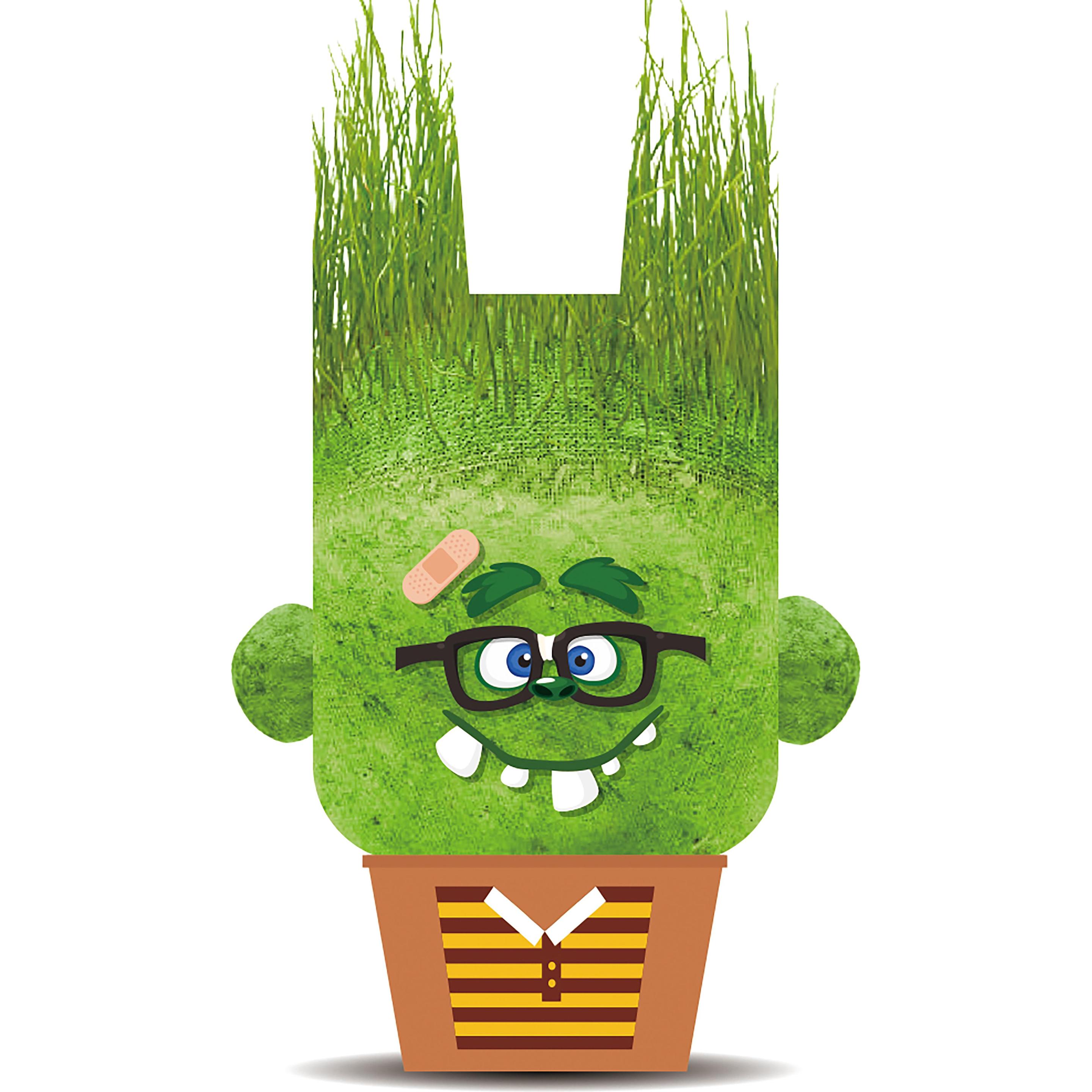 Hape Plant Pals-Assured Monsters