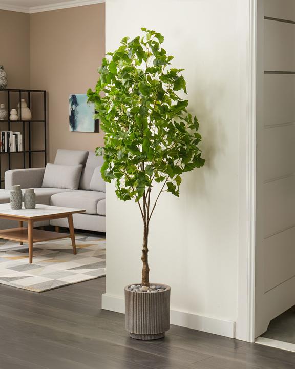 Immagine prodotto Beliani Ginkgo Tree (150 cm)
