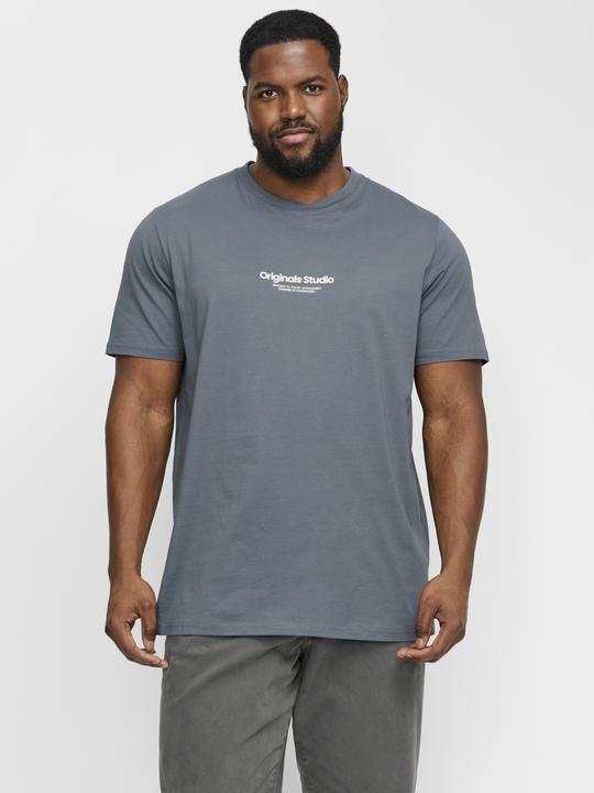 Actual product image Jack & Jones Jorvesterbro Tee Ss Crew Neck Noos Pls (8XL)