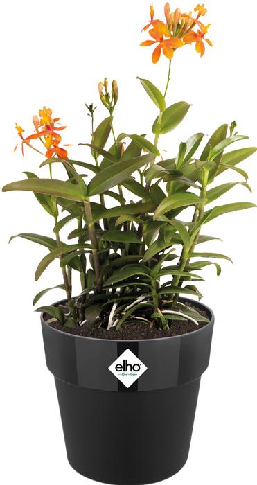 Produktbild Elho B.for Original (30 x 27.30 cm)