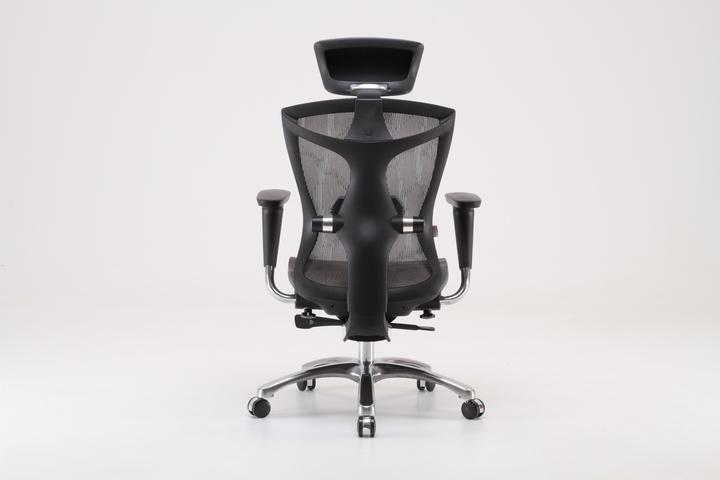 Immagine prodotto Sihoo V1 Ergonomic Office Chair, gray