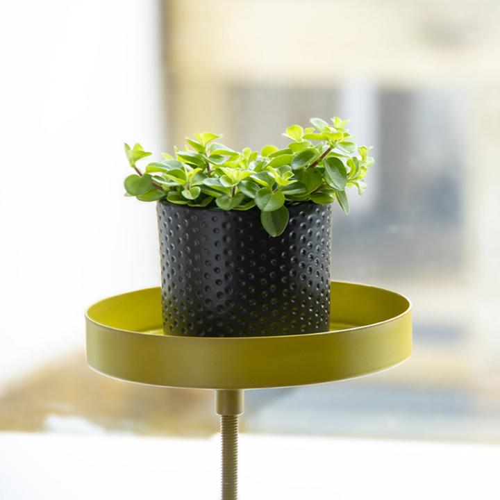 Actual product image Esschert Design Ablage mit Klemme