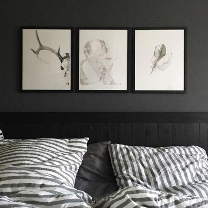 Image du produit Trenddeko Crâne de cerf (40 x 50 cm)