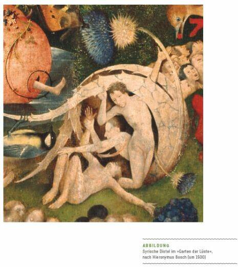 Produktbild Vom Garten Eden bis zu Salomos Weinberg (Deutsch, Maria Häusl, 2018)