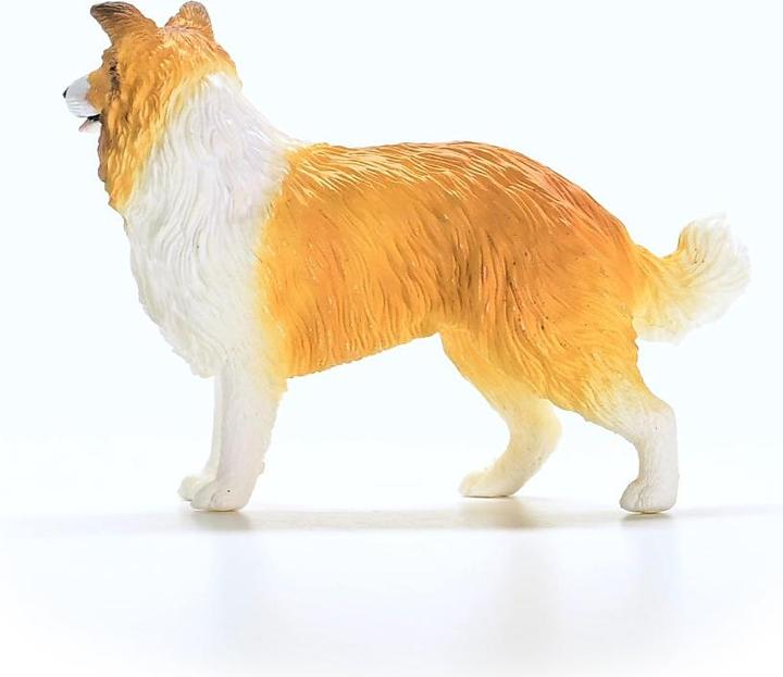 Actual product image Schleich Collie