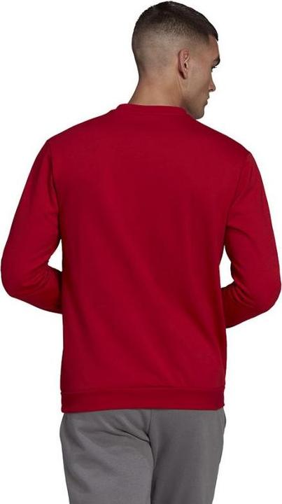 Actual product image adidas Entrada 22 sweatshirt men (XXL)