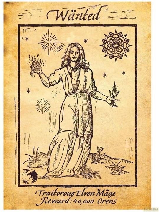 Fanattik The Witcher Kunstdruck Limited Edition 42 x 30 cm (42 x 30 cm)