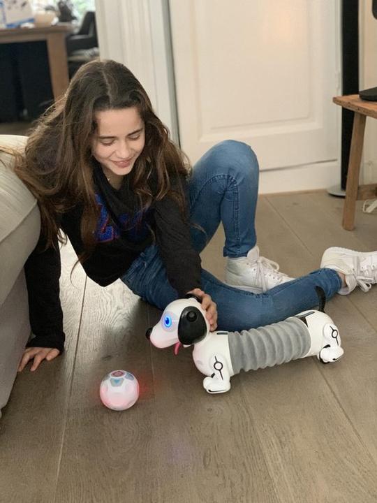 Produktbild Silverlit Robo Dackel