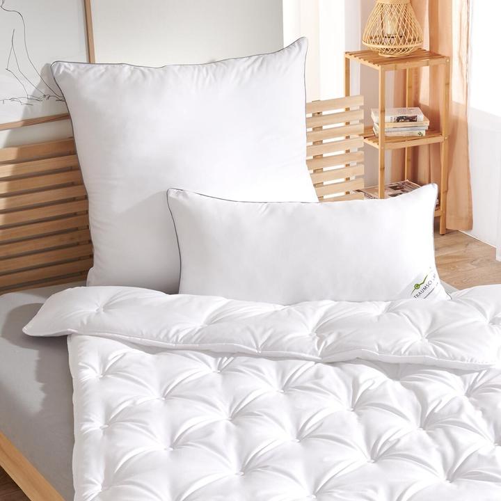 Produktbild Traumschlaf Down Touch (80x80 cm)