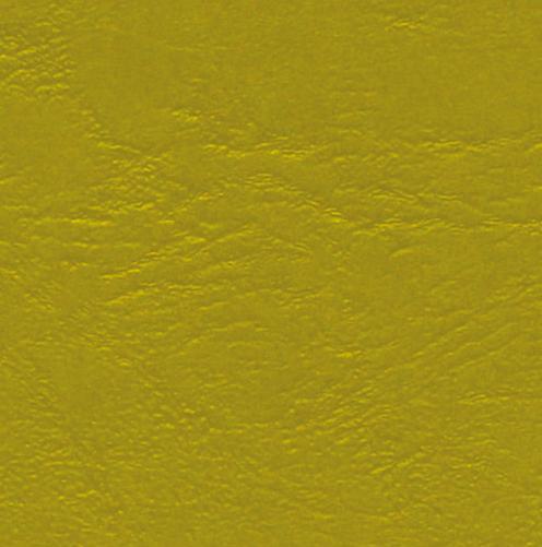 Actual product image Fimo Leather