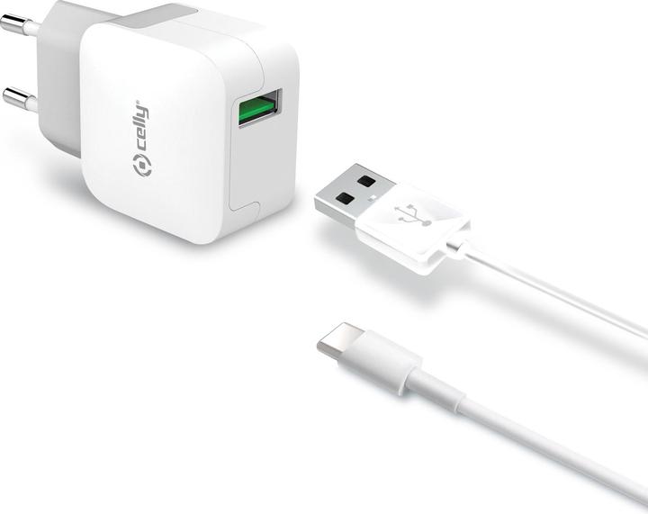 Celly TCUSBTYPEC - Power supply - 2.4 A (USB) - on (12 W)