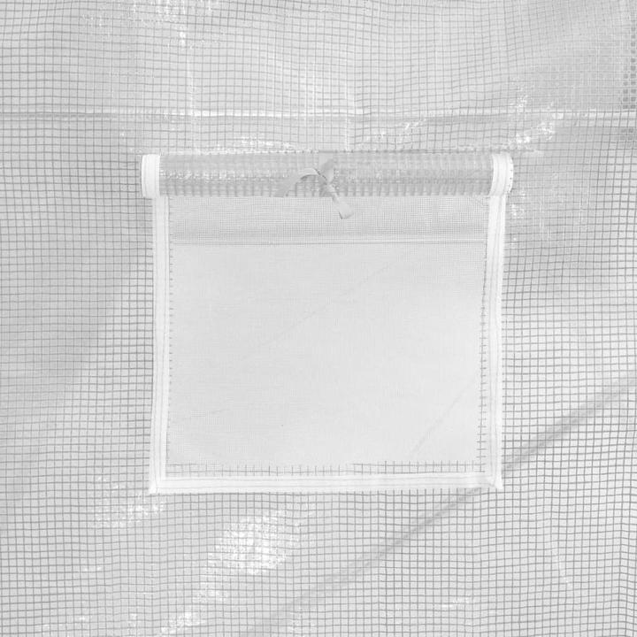 Actual product image vidaXL Gewächshaus