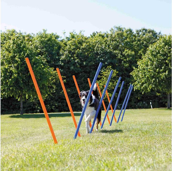 Image du produit Trixie Fun Agility Slalom