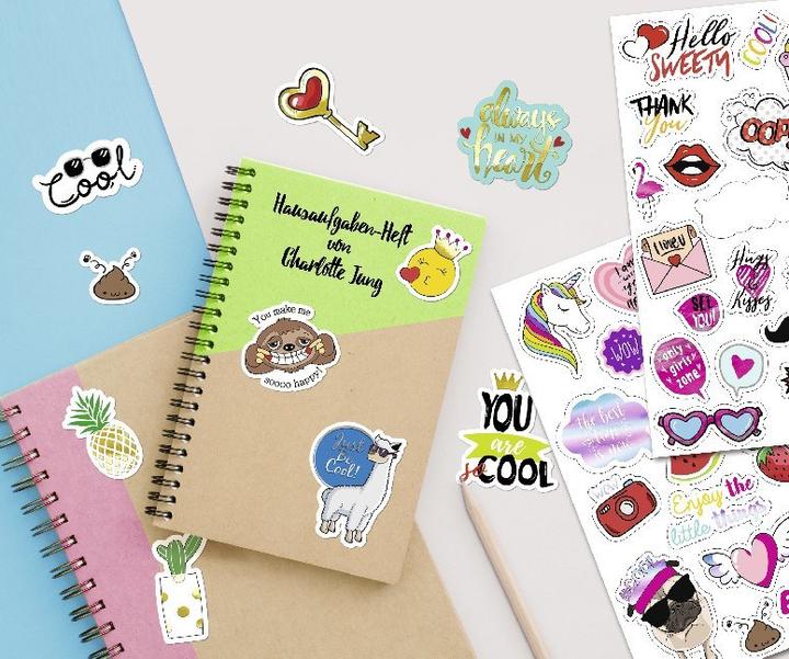 Actual product image Ursus Punched parts #Cool.5692-92-01F