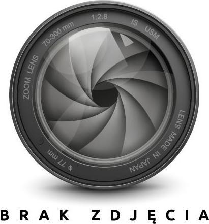 Actual product image Esselte register PP A4 Jan-Dec (GB) gr