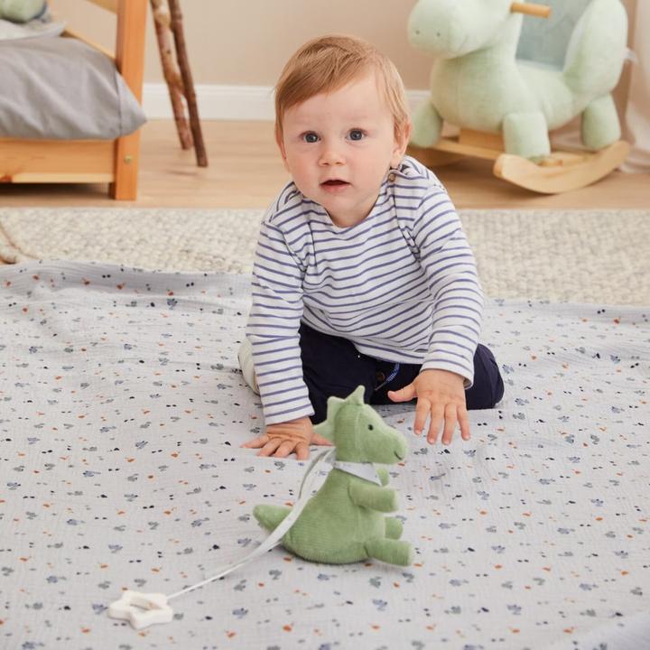 Immagine prodotto Sterntaler Carillon Dino Rexi S