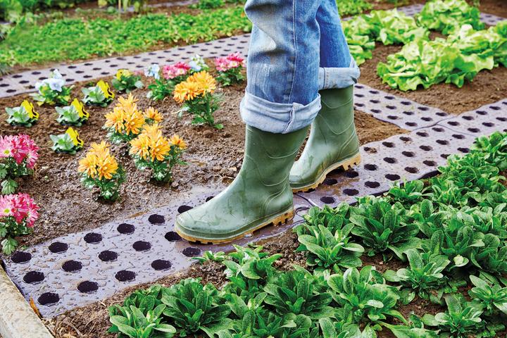 Produktbild Garantia Maxi-Beetplatte