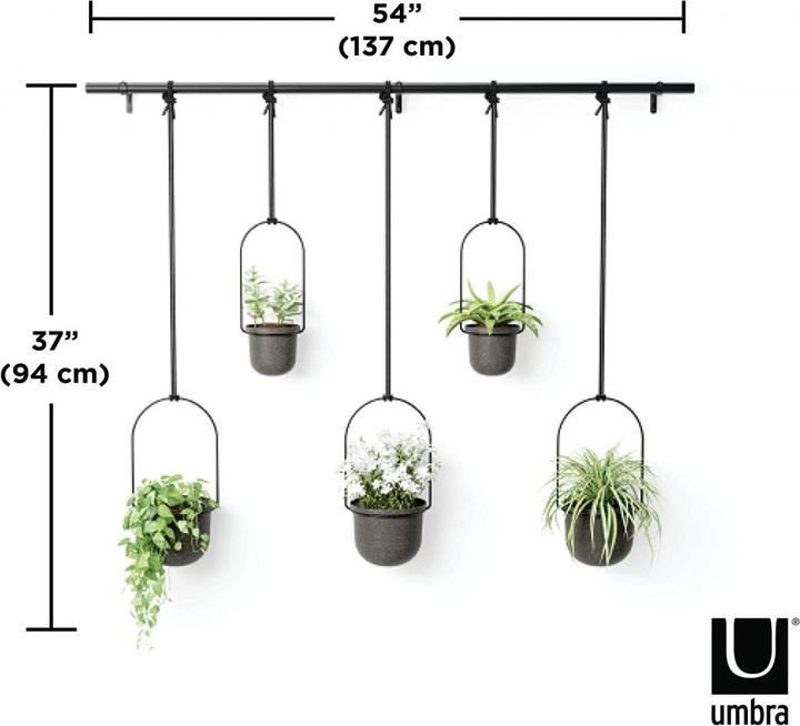 Produktbild Umbra Triflora (15 x 95 cm)