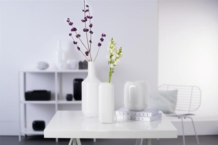 Actual product image Leonardo Milano vase (1x)
