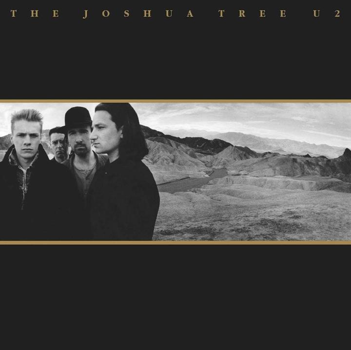 Produktbild The Joshua Tree (2LP) (U2)
