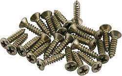 Fender Vis de pickguard Roadworn