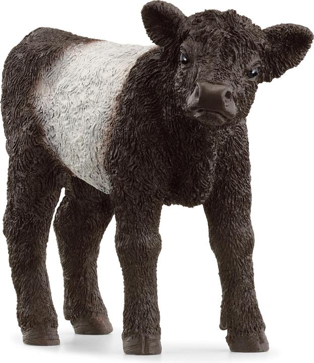 Schleich Galloway Kalb