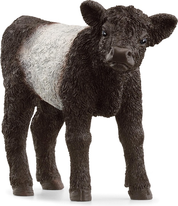 Schleich Galloway calf