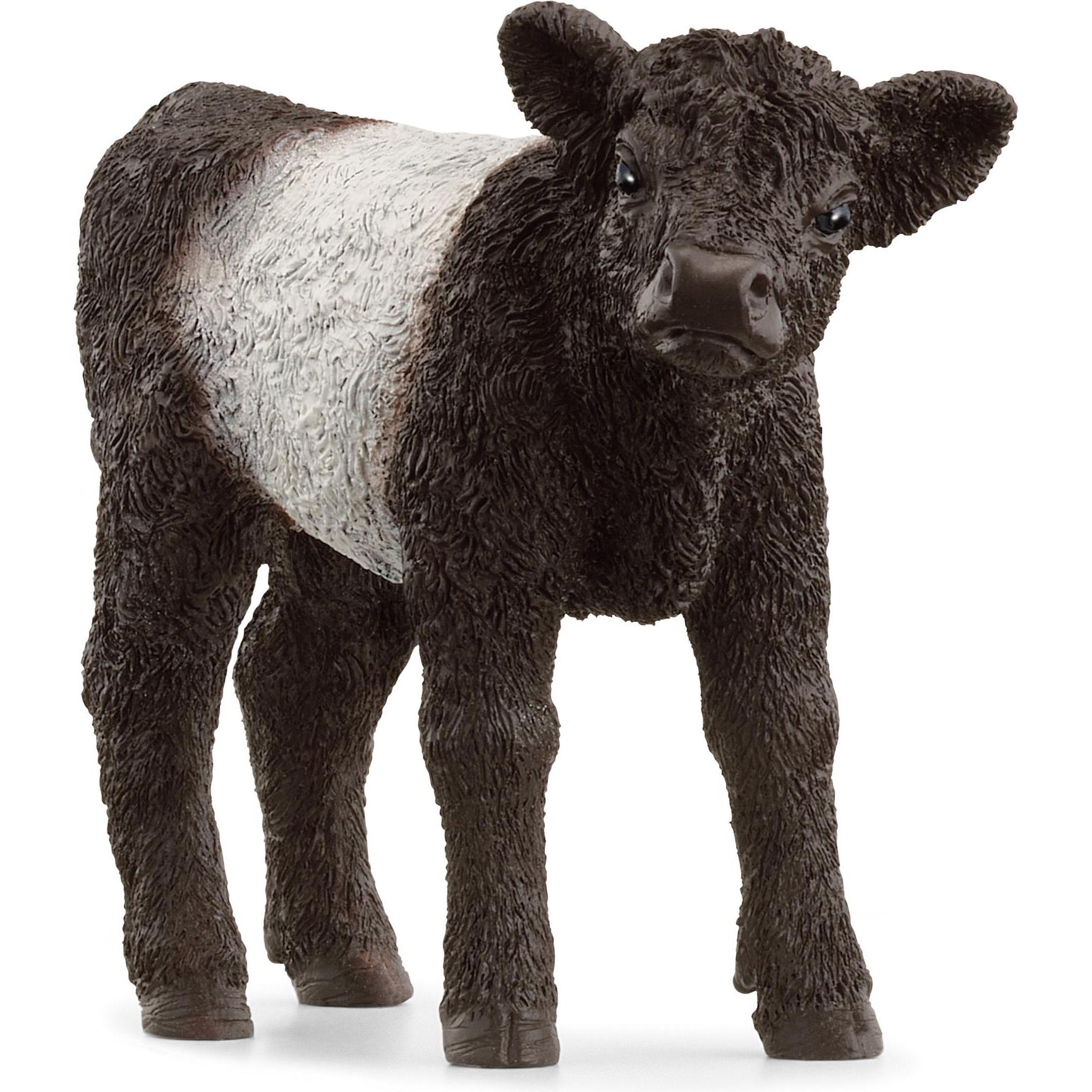Schleich Galloway Kalb