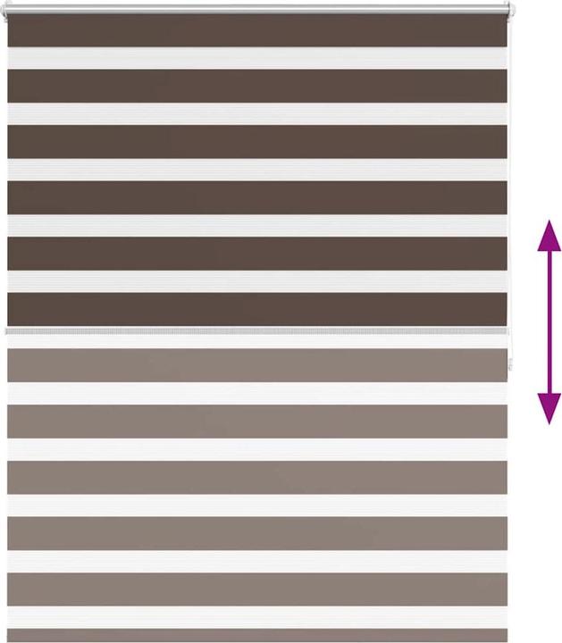 Produktbild vidaXL Doppelrollo (120 x 175 cm)