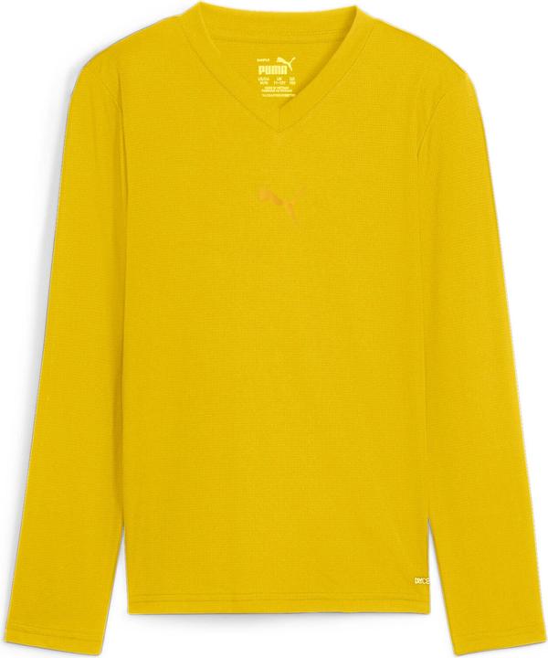 Actual product image Puma teamGOAL Baselayer Tee LS Jr. (140)