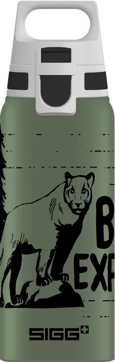 Brave Mountain Lion