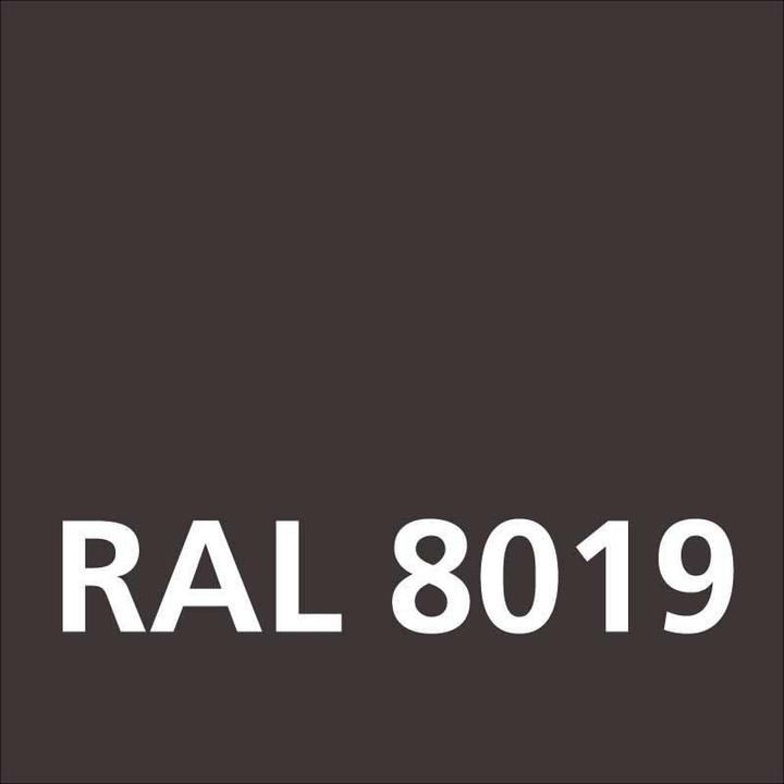 Actual product image Dupli-Color Glossy acrylic paint RAL 8019 grey brown (grey-brown, 0.40 l)