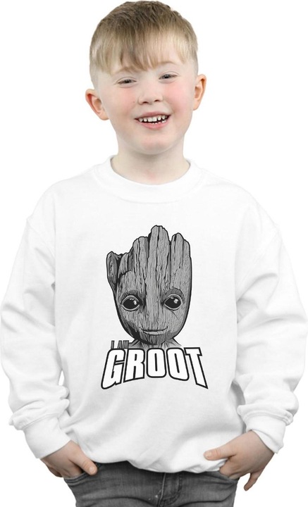 Actual product image Boys Guardians Of The Galaxy Groot Face Sweatshirt (140, 146)