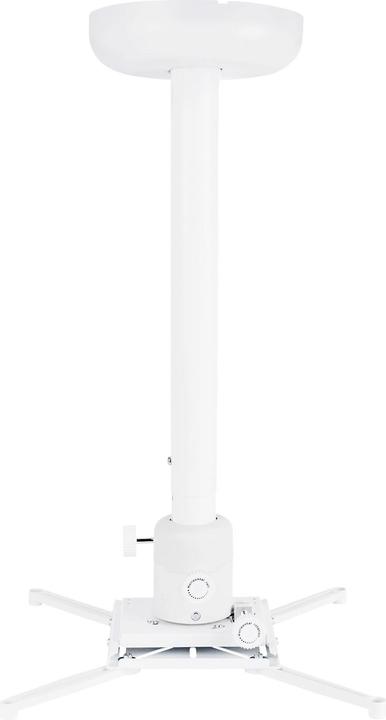 Projector mounts