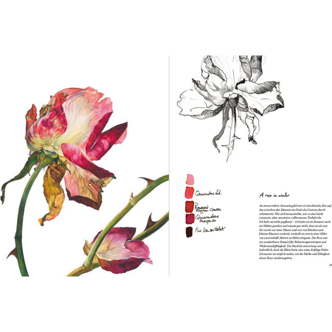 Thumbnail - Rosen, Sachbücher von Rosie Sanders