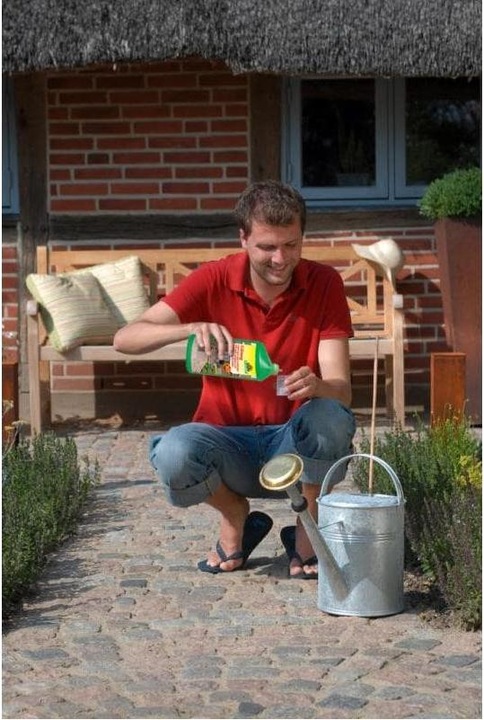Immagine prodotto Neudorff Grünweg Anti patina verde e alghe (Muschi e alghe)
