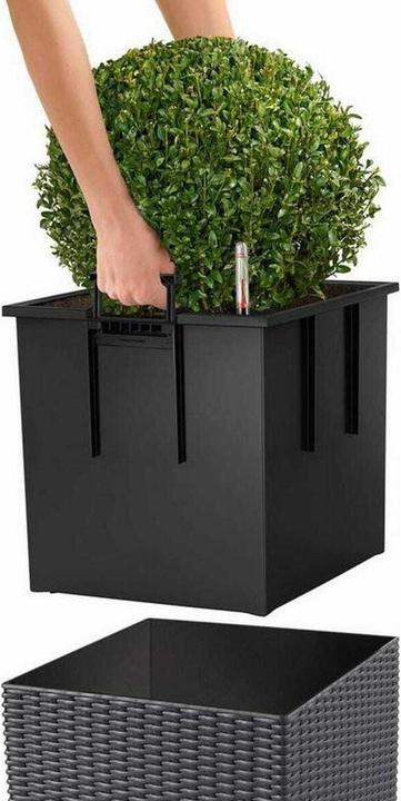 Immagine prodotto Lechuza Cubo di fiori Cottage 40 (40 x 39 x 40 cm)