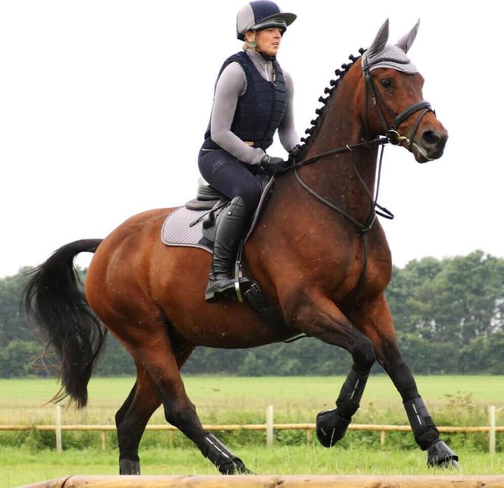 Actual product image Hy Equestrian Riding leggings (XL)