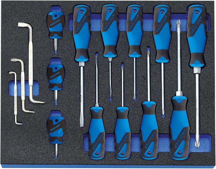 Gedore 2005 CT2-2160 Screwdriver set in check tool module, 15 pieces