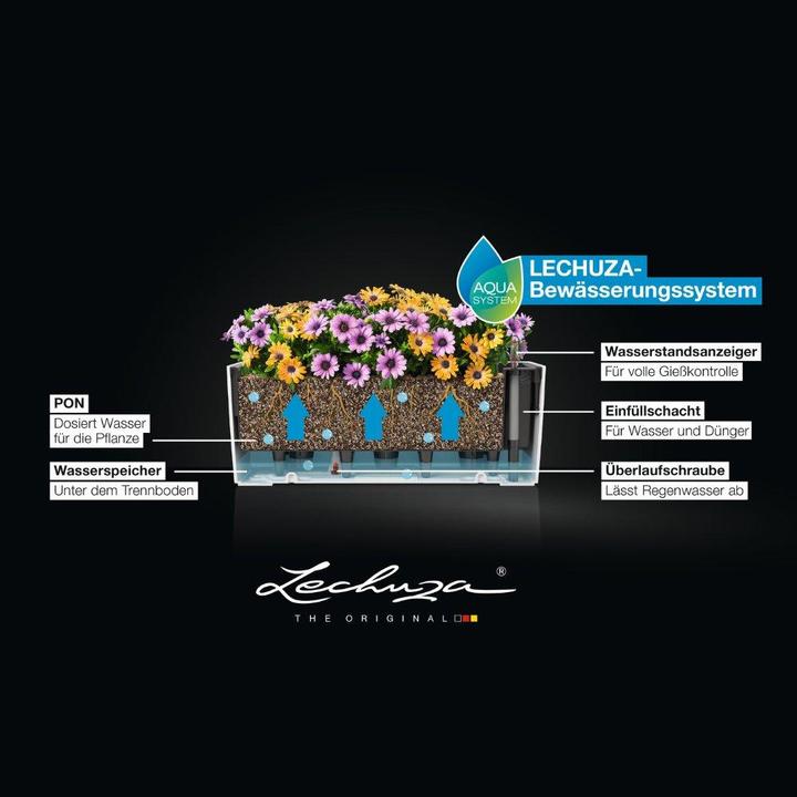 Actual product image Lechuza Balconera Cottage (50 x 19 x 19 cm)