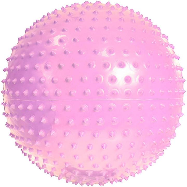 Actual product image Pro-Fit Plain Exercise Ball (75 cm)