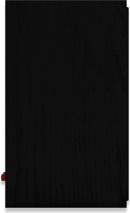 Actual product image Klipsch R-50M (1 pair, 300 W)