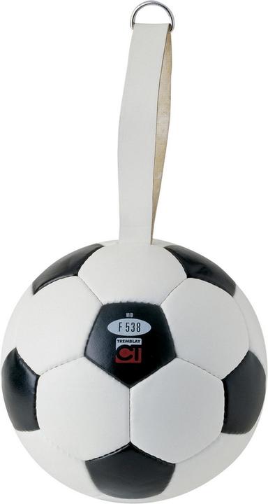 Hasbro Tremblay Kopfballspiel (00)
