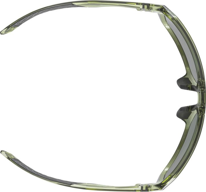 Immagine prodotto Alpina Swift (Banner verde, Oro)
