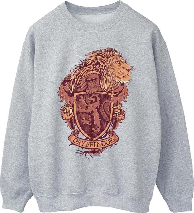 Immagine prodotto Gryffindor Sketch Crest Felpa Uomo (XXL)