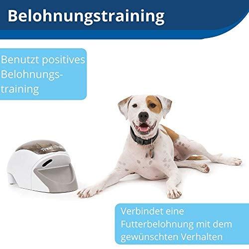 Image du produit PetSafe Traiter et former
